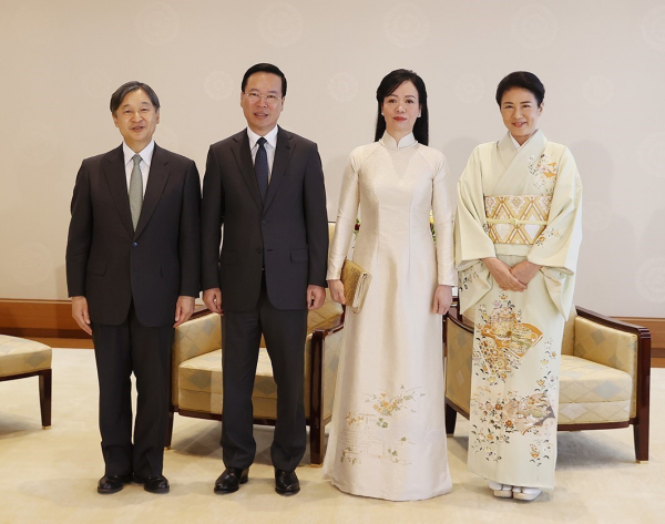 Chủ tịch nước đánh giá cao Thủ đô Tokyo tích cực hợp tác nhiều mặt với Việt Nam -0