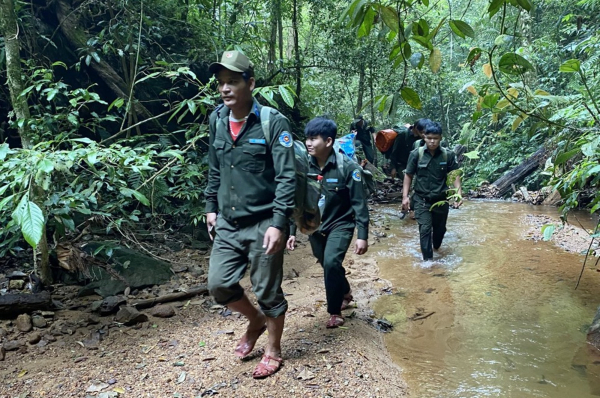 Nỗ lực bảo vệ “lá phổi xanh” ở Nam Giang -0