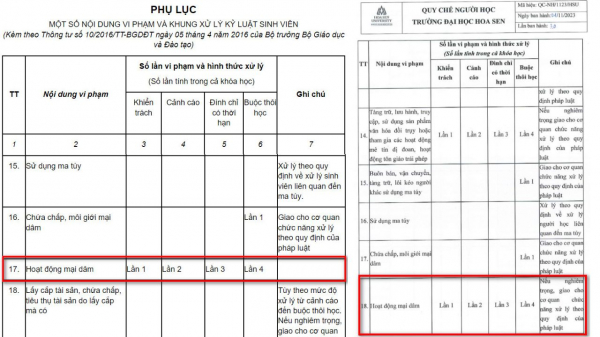 Buộc thôi học sinh viên hoạt động mại dâm lần thứ 4  -0
