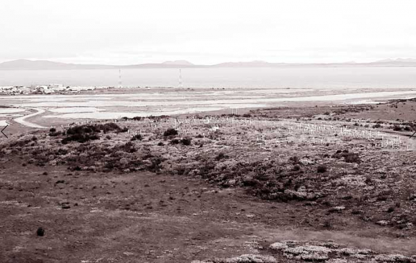 Nghi án Kotzebue -0