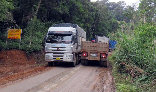 ql14d 2-ngoc thi.jpg -0
