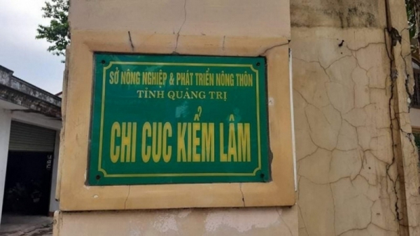 Khởi tố nguyên Chi cục trưởng Kiểm lâm Quảng Trị -0