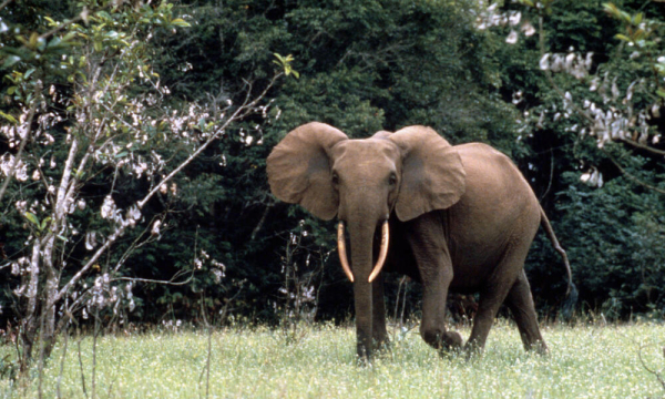 image001.jpg -0