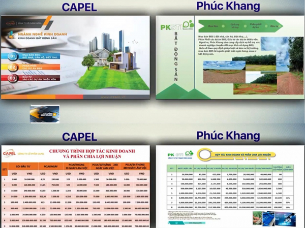 Lãnh đạo Công ty Capel ôm tiền tỷ của nhà đầu tư rồi… “mất tích”!? -0