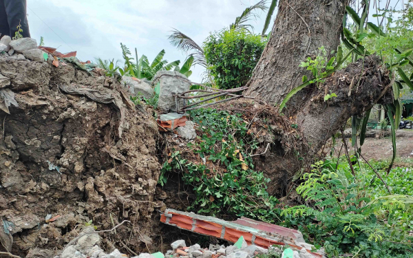 Nhiều tuyến đường nông thôn ở Cà Mau bị sụt lún do hạn hán -1
