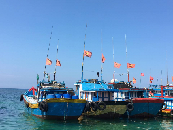 Xác minh hơn 4.300 tàu cá không bật giám sát hành trình -0