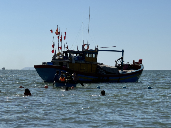 Cá nhà táng bị thương dạt vào biển Quy Nhơn -0
