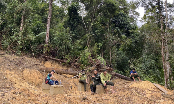 Xử lý nghiêm vụ phá rừng tự nhiên để làm đường dây điện ở Quảng Nam -0