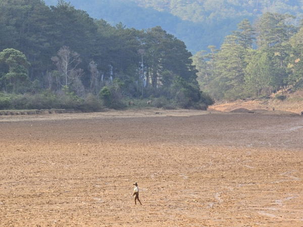 Hạn hán khốc liệt đe dọa nguồn nước sinh hoạt của TP Đà Lạt -0