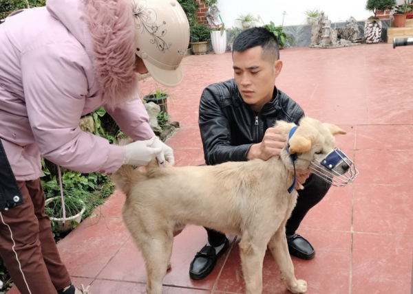 14 người cùng bị 1 con chó dại cắn trong trường học ở Quảng Ninh -0