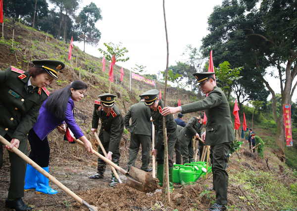 Cục Kế hoạch và tài chính phát động Tết trồng cây Xuân Giáp Thìn 2024 -0