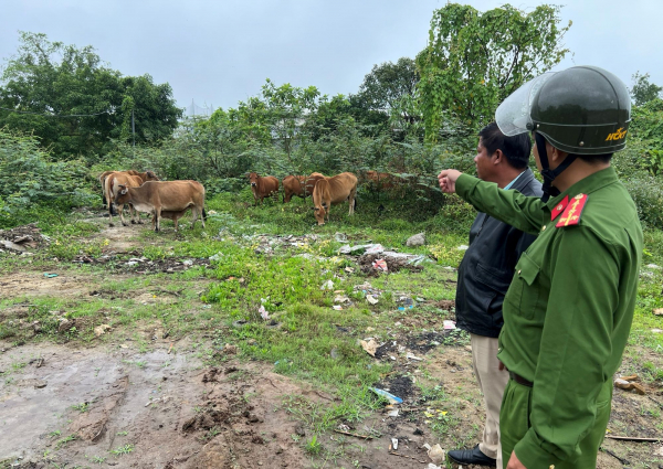 Kẻ bắt trộm 12 con bò của nông dân ở Huế là chủ quán bê thui -0