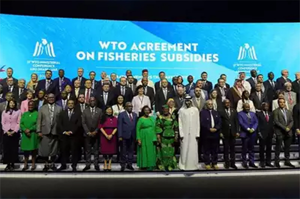 WTO phải bảo vệ  vai trò đa phương của mình -0