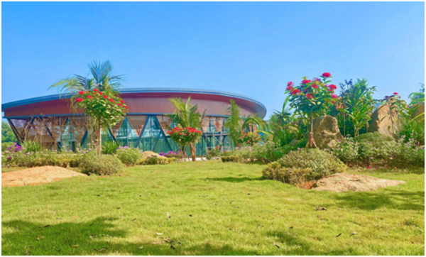 Cuộc trở mình theo thời đại -0