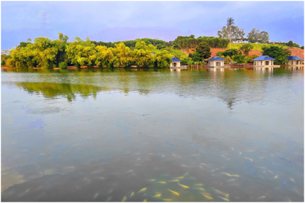 Cuộc trở mình theo thời đại -0