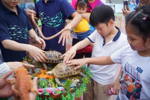 Hàng chục nghìn người “cháy” hết mình tại sự kiện vì môi trường “Ngày hội Xanh” -1