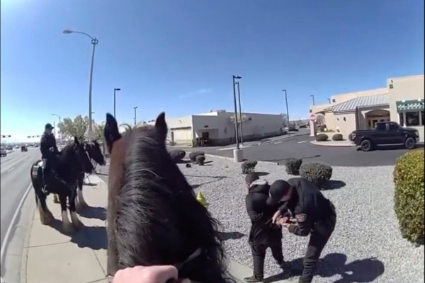 Cảnh sát Mỹ cưỡi ngựa truy đuổi kẻ trộm đồ -0
