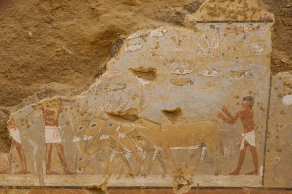 Tranh màu 4.300 năm tuổi trong mộ cổ Ai Cập -0