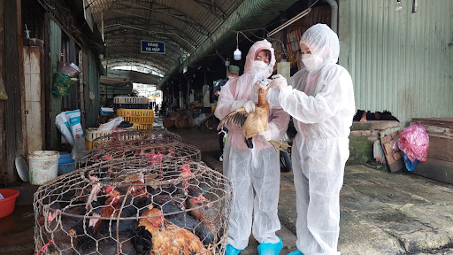 Phát hiện người đàn ông đầu tiên mắc cúm cúm A/H9 tại Việt Nam -0