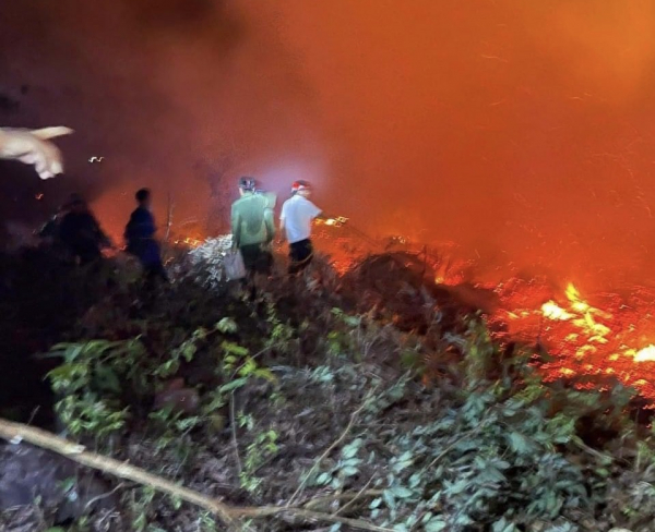 Người dân đốt thực bì gây ra 2 vụ cháy rừng -0