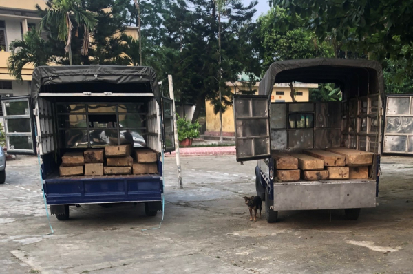 Dùng xe tải ngụy trang tinh vi để vận chuyển số lượng lớn gỗ lậu -0