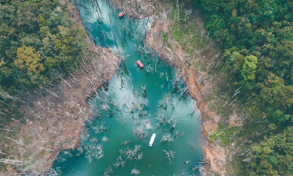 Đề nghị xử lý loạt cán bộ vụ Thủy điện Thượng Kon Tum tích nước làm chết rừng -0