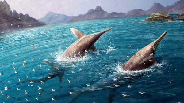 Tìm thấy hóa thạch thằn lằn cá khổng lồ -0
