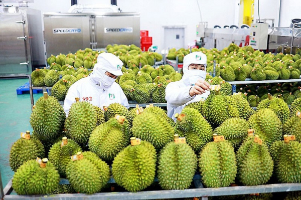 Durian exports gross US$253 million in first quarter -0