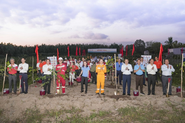 Petrovietnam phát động trồng cây phục hồi rừng trên đất ngập nước -0