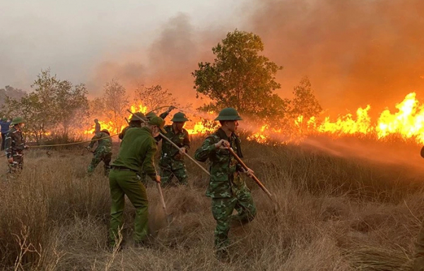  Liên tục xảy ra cháy rừng Quảng Bình chỉ đạo khẩn -0