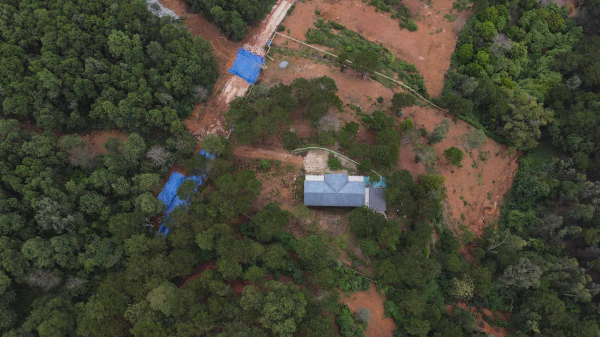 Chủ tịch Hà Nội yêu cầu xử lý dứt điểm tình trạng lấn chiếm, xây dựng trái phép trên đất rừng -0