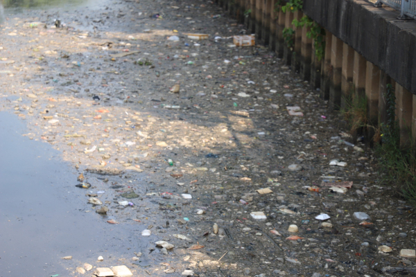 Sau những cơn mưa đầu mùa, cá chết hòa lẫn trong rác trên kênh Nhiêu Lộc - Thị Nghè -0