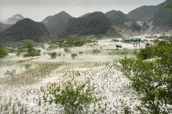 Phòng, chống thiên tai đồng bộ ở cả 3 giai đoạn phòng ngừa, ứng phó và khắc phục hậu quả -0