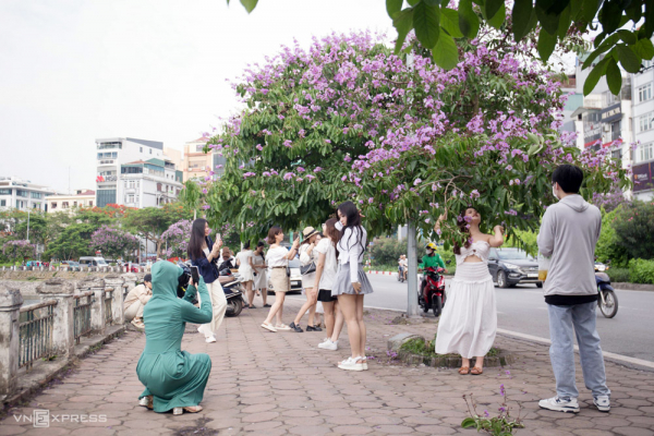 Đâu chỉ một màu hoa -1
