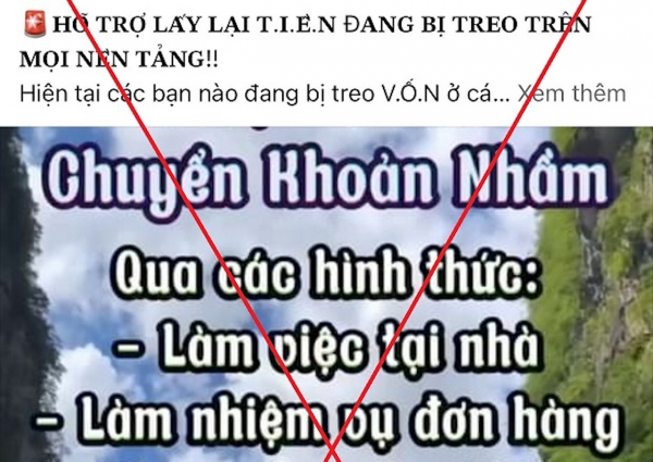 thanh binh (13).jpg -0