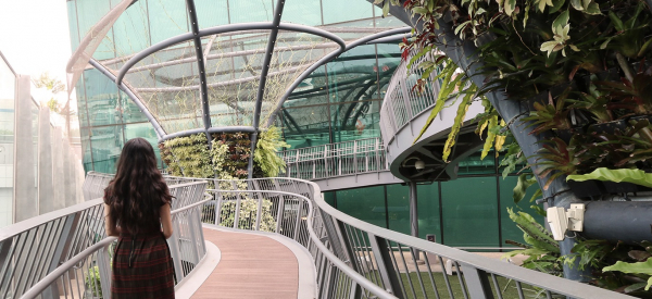 Ngắm sân bay Changi Singapore có thiết kế thân thiện với môi trường -0