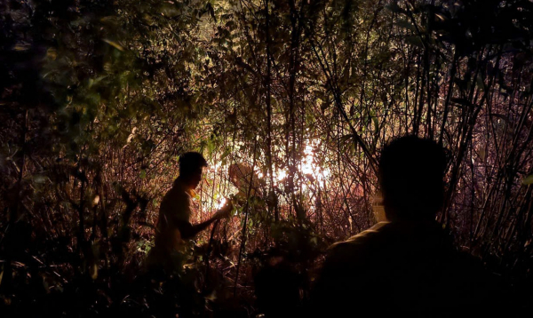 Hơn 300 Cảnh sát xuyên đêm chữa cháy rừng ở Bình Định -0