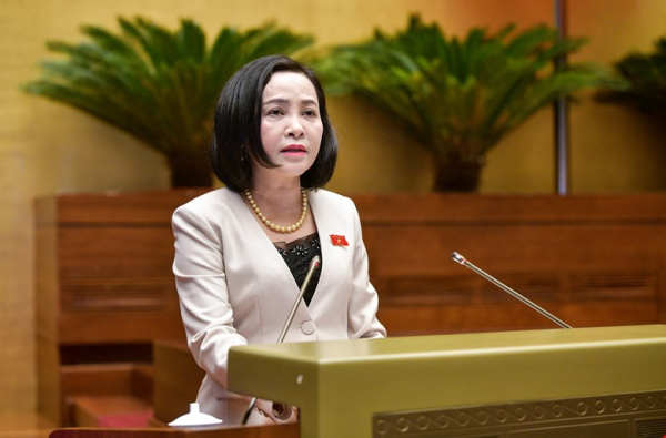 Chân dung tân Phó Chủ tịch Quốc hội Nguyễn Thị Thanh -0