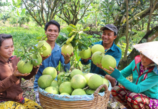 Vĩnh Long: Thị xã Bình Minh phát triển du lịch gắn với sản phẩm đặc thù địa phương -0