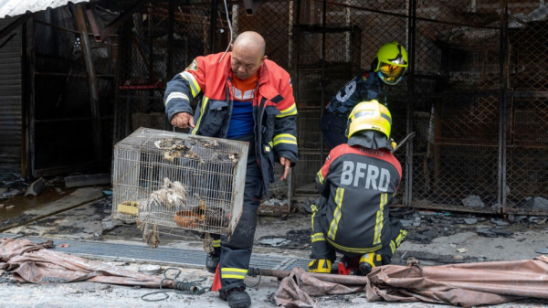 Lửa cháy dữ dội tại chợ thú cưng Thái Lan, hàng nghìn vật nuôi chết cháy -0