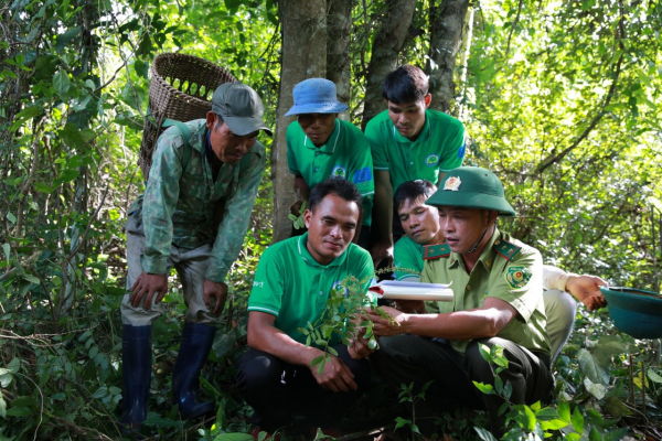 Nhiều việc làm “sám hối” với những cánh rừng quý hiếm ở Quảng Trị -0