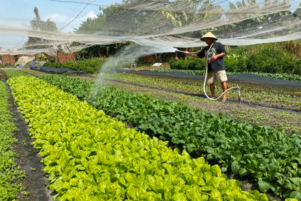 Nhiều quỹ tài chính nhà nước ngoài ngân sách hoạt động chưa hiệu quả -0