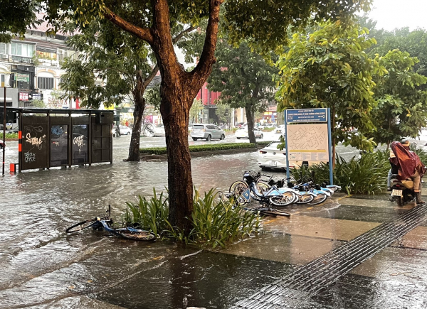     Mưa đá, sự cố cây ngã trong cơn mưa lớn kèm dông lốc ở TP Hồ Chí Minh -0