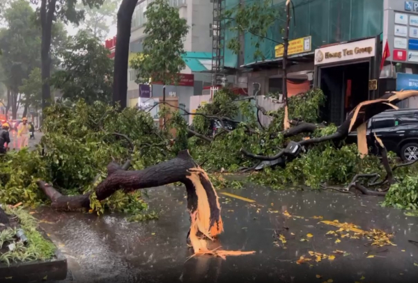     Mưa đá, sự cố cây ngã trong cơn mưa lớn kèm dông lốc ở TP Hồ Chí Minh -4