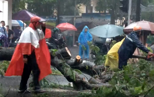     Mưa đá, sự cố cây ngã trong cơn mưa lớn kèm dông lốc ở TP Hồ Chí Minh -5