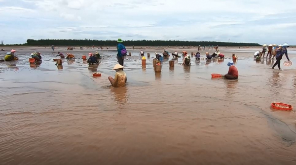 Dáng đứng Bến Tre giữa thời bình (Kỳ cuối) -0