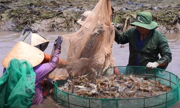 Dáng đứng Bến Tre giữa thời bình (Kỳ cuối) -0