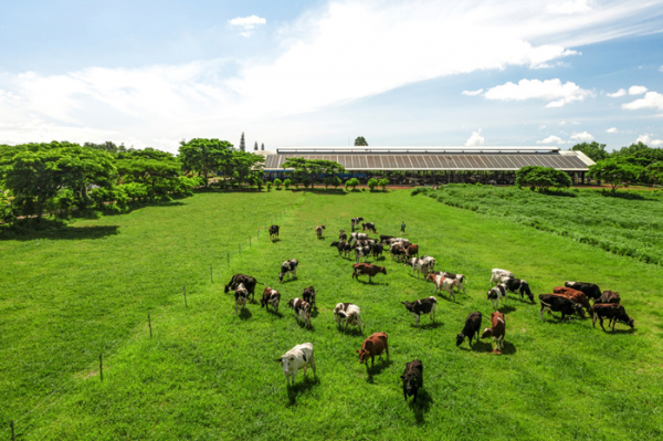 Người dân hưởng lợi gì khi doanh nghiệp làm “NET ZERO”? -1