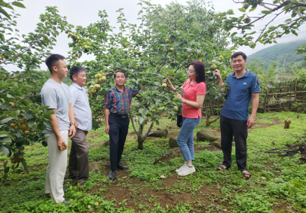 Nỗ lực đảm bảo bình yên cho Ngày hội hái Lê lớn nhất Lai Châu -0