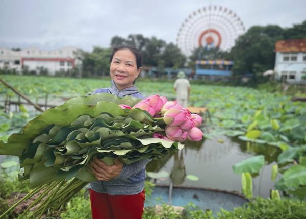 Kỳ công nghề ướp trà sen qua đêm trên đầm(chưa có ảnh) -0